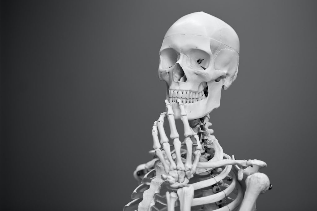 Photo of skeleton thinking by Mathew Schwartz
