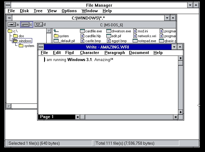 screenshot of Windows 3.1 running in a virtual machine