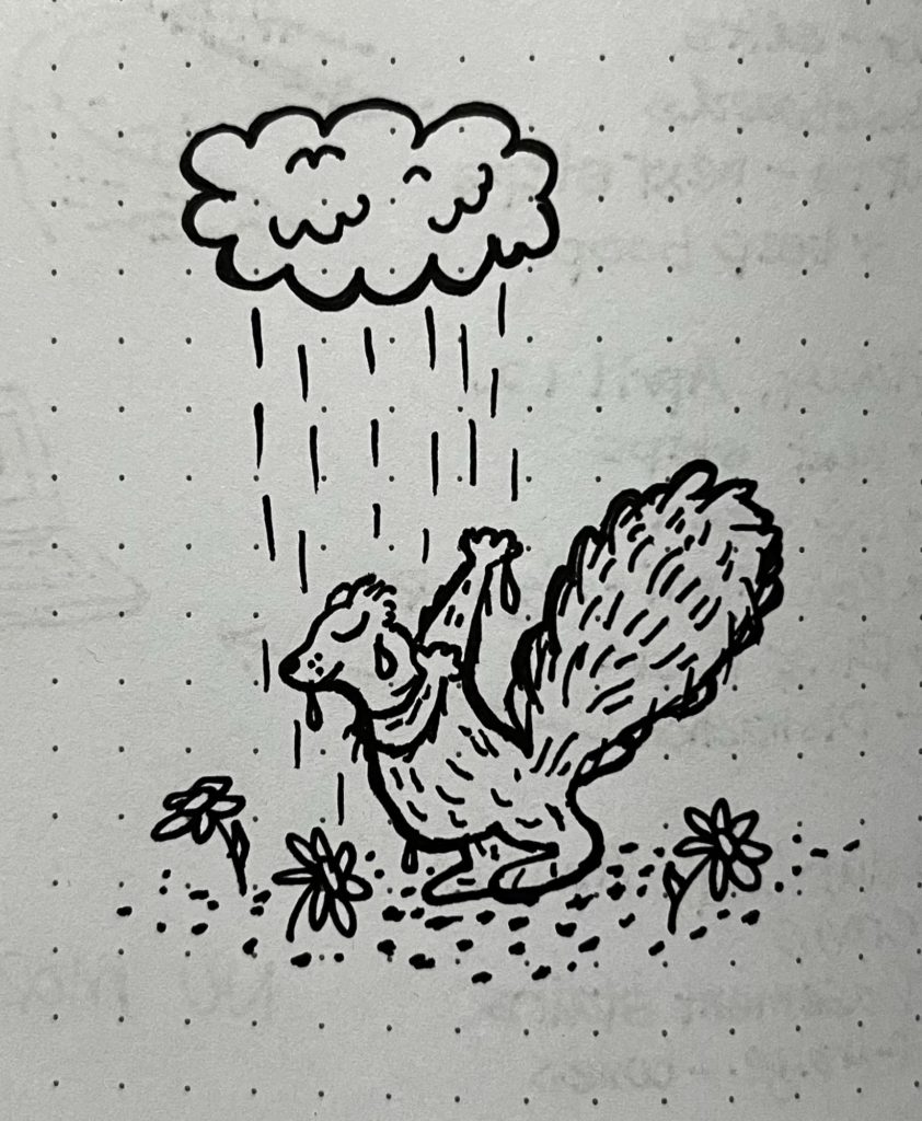 Doodle of a squirrel showering under a rain cloud